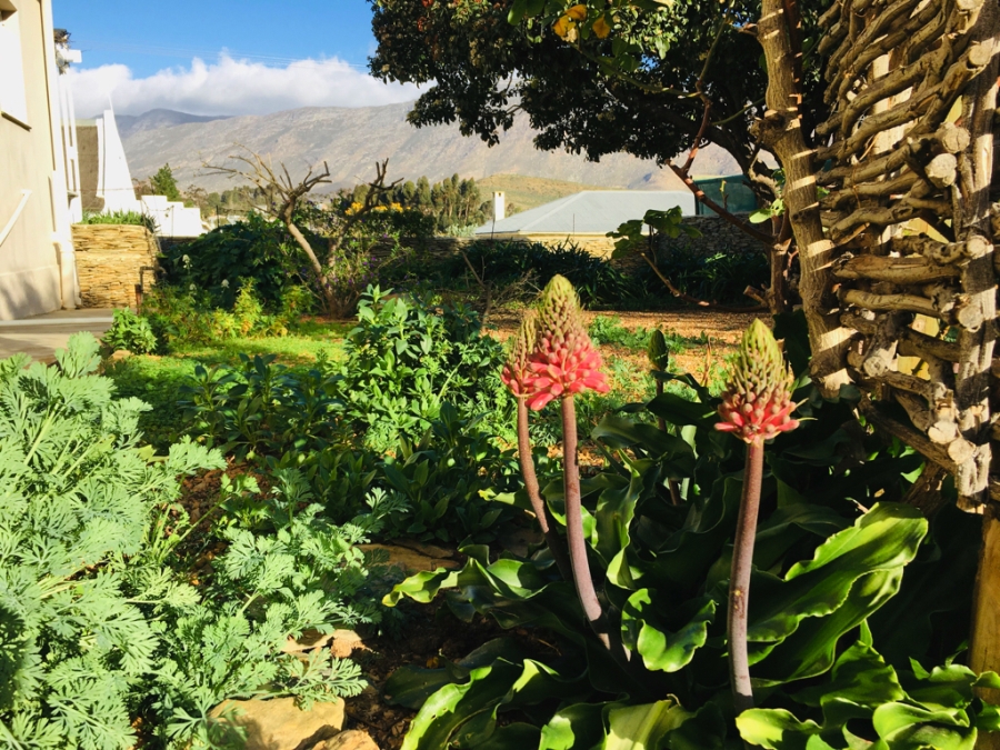 3 Bedroom Property for Sale in Barrydale Western Cape